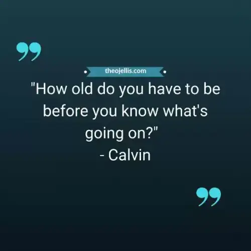calvin and hobbes quotes 2