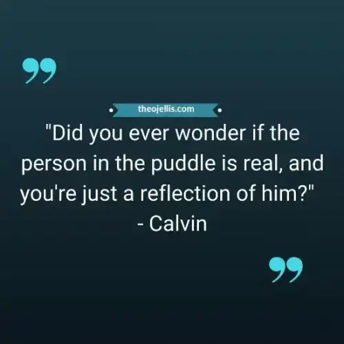 calvin and hobbes quotes 38