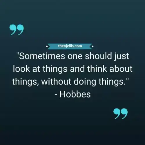 calvin and hobbes quotes 48