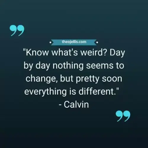 calvin and hobbes quotes 5 - https://theojellis.com/calvin-and-hobbes-quotes/