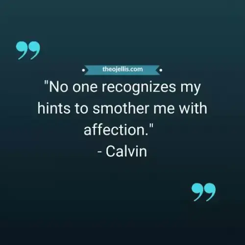 calvin and hobbes quotes 6