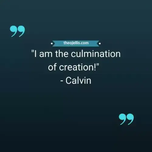 calvin and hobbes quotes 7
