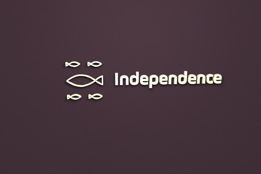 independence - https://theojellis.com/how-to-stop-kissing-ass/